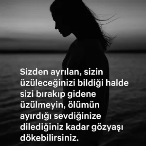 seven gitmez